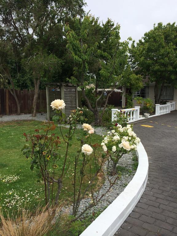 כרייסטצ'רץ' Ferry Motel מראה חיצוני תמונה